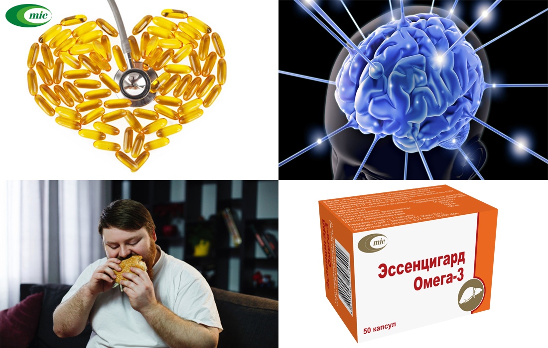 rel_gPZ2eMc.jpg rel_gPZ2eMc.jpg